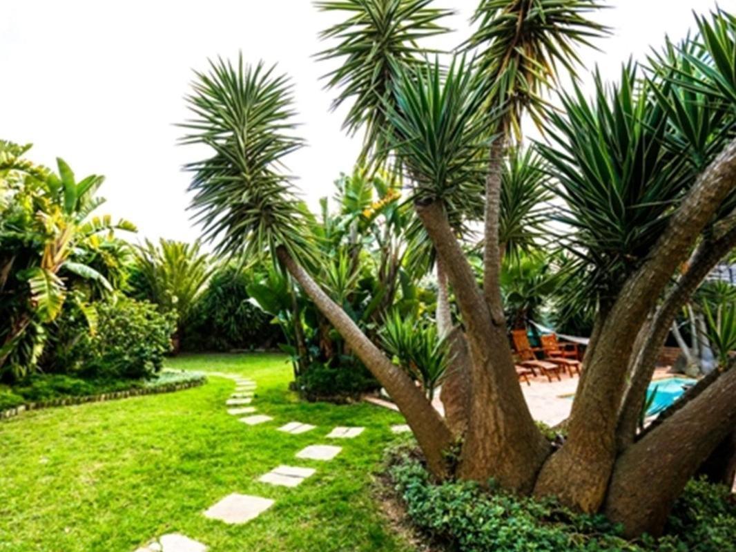 Secret Garden Guesthouse Bloubergstrand Exterior foto